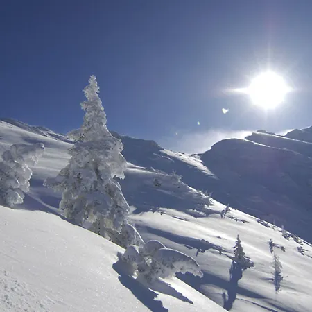 Haus Almfriede Apartmán