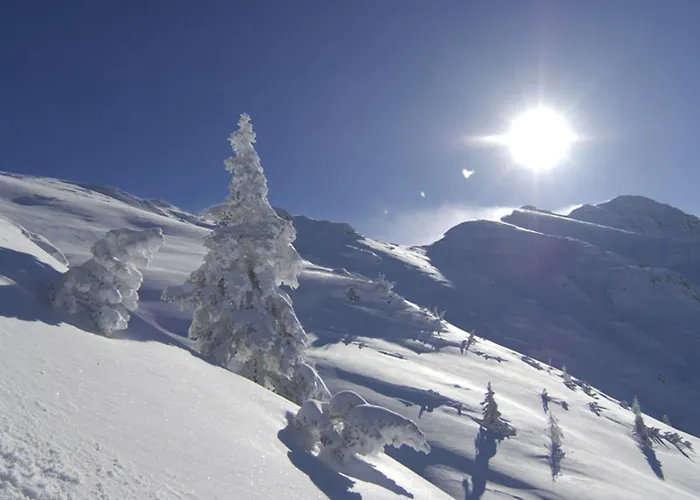 Haus Almfriede Apartmán